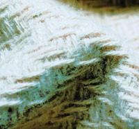 European Mills Look on Brighter Side