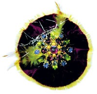 The Top 10 Stories of 2004: 8. Brooch the Subject