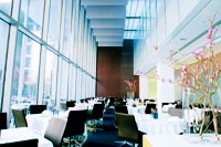 Modern Feast