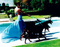 Testino, Ritts Receive Walk of Style Award