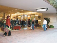 Malls Cultivate New Store Concepts