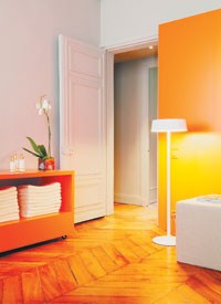 The New Look of Paris Retailing