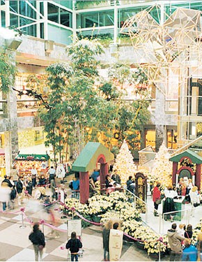 Retail on the Rise