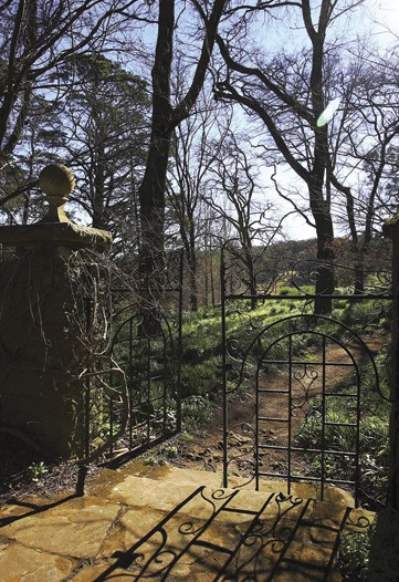Aussie Odyssey