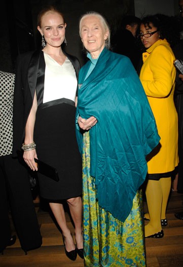 Glamorous Night