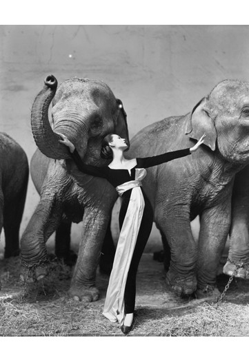 Travels With Avedon