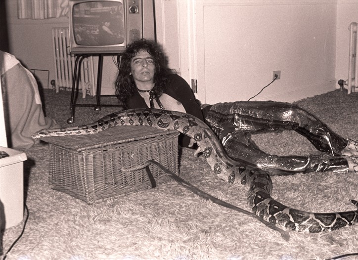 Alice Cooper: Fashion Designer?