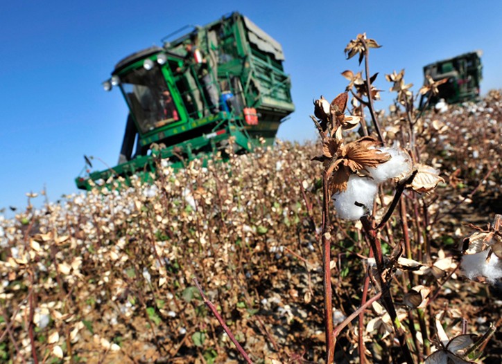 Groups Urge Customs to Halt Cotton Imports From Turkmenistan