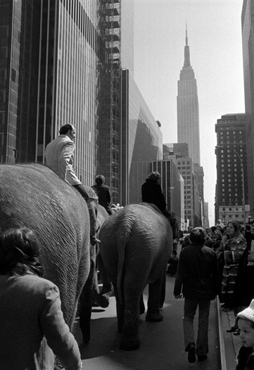 Big Top the Big Apple