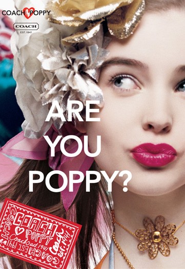 Coach Ignites Marketing Blitz Poppy