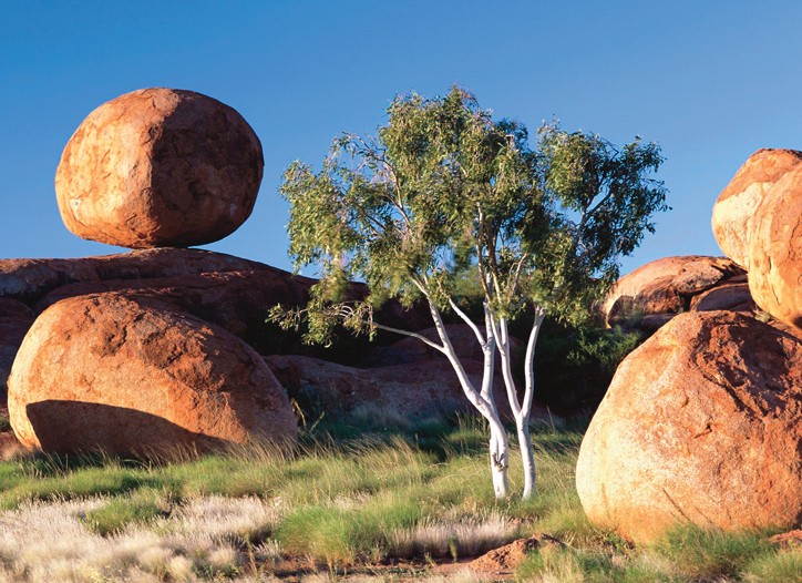 Vision Quest: Australia