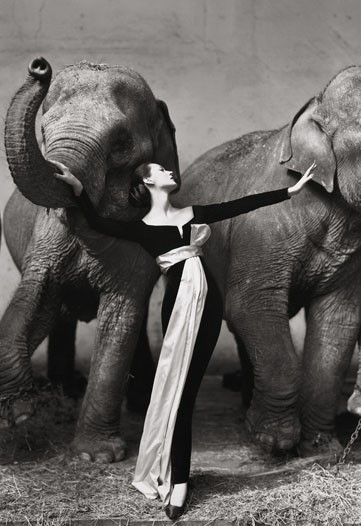 Dior Snaps up Avedon’s 'Dovima' Photo