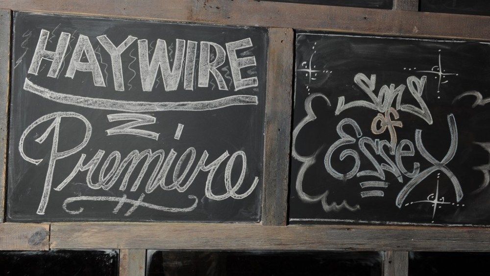 Pulling Punches the 'Haywire' Screening