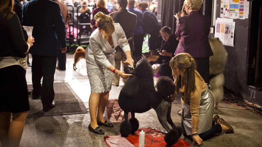 Backstage New York's Other Big Show