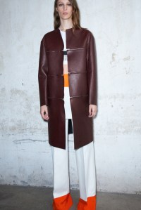 Celine Resort 2013