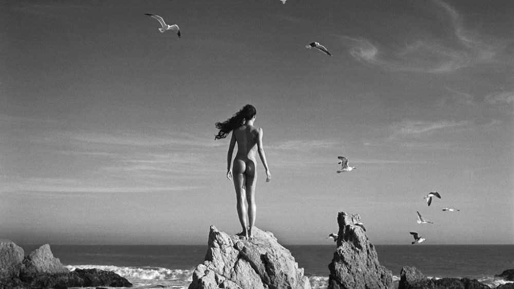 Lens Legacy: Helmut Newton Exhibits Come L..