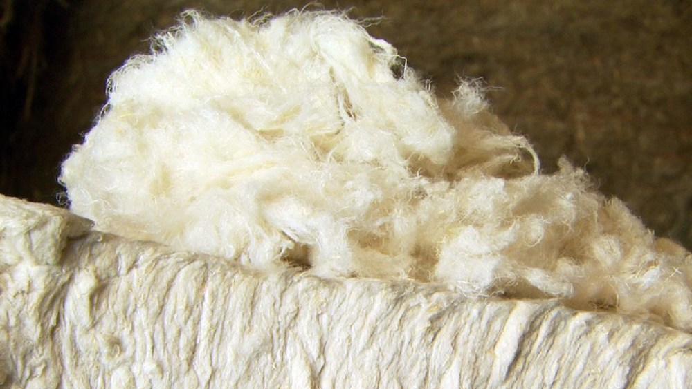 Innovation Fueling Fresh Fibers