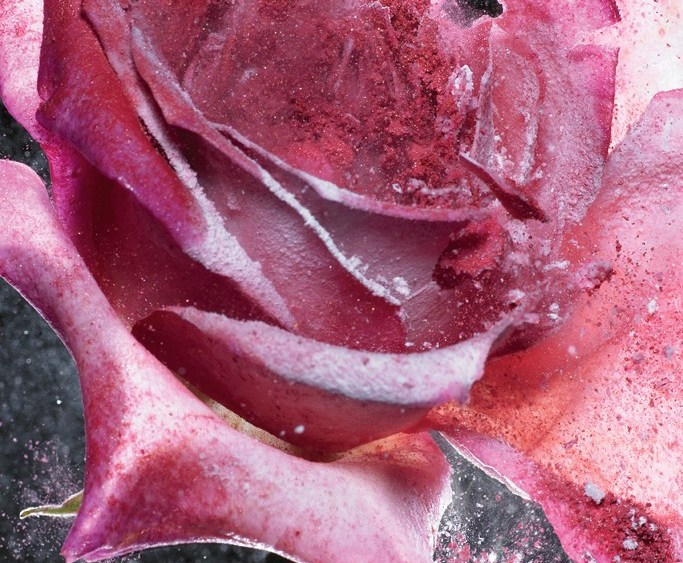 Modern-Day Beauty Industry: No Bed of Roses