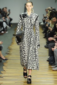 Céline RTW Fall 2014