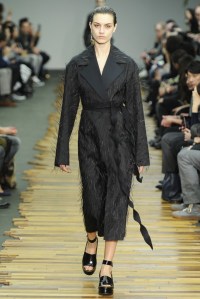Céline RTW Fall 2014