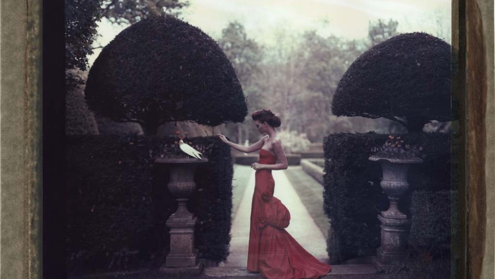 Valentino's Secret Garden Focus