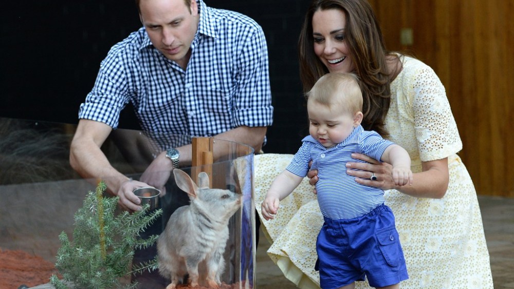 Royals Continue Down Under Tour