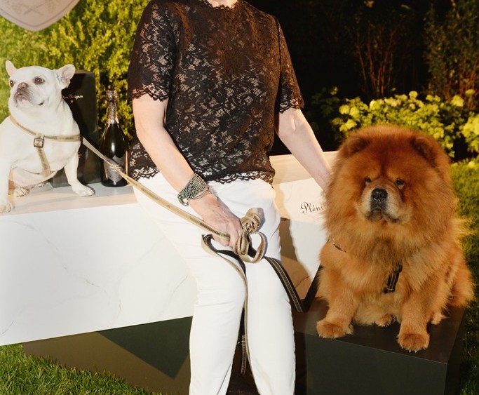 Hamptons Party Round-Up: Martha Stewart Dinner, ACRIA Benefit
