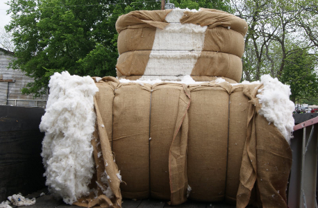 USDA Report Says Cotton Prices Up, China Auctions Strong
