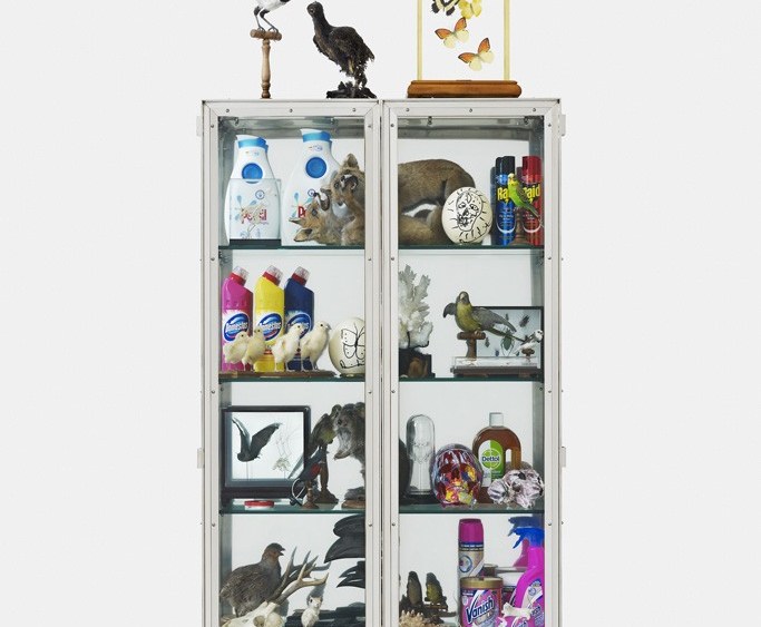 Damien Hirst Creates Curiosity Cabinet with Deyrolle