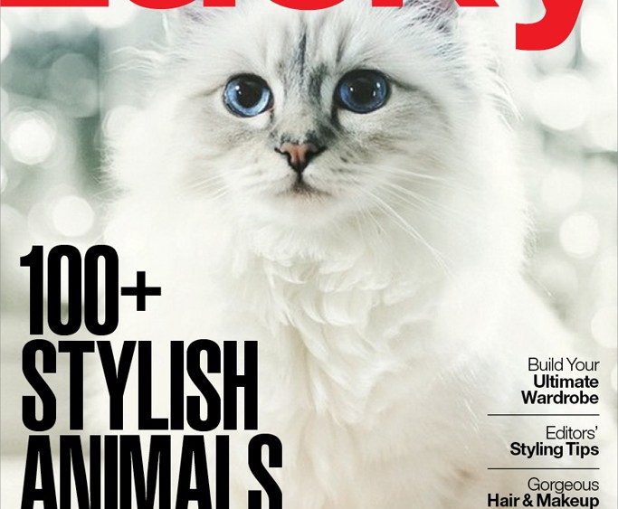 Karl Lagerfeld, Choupette