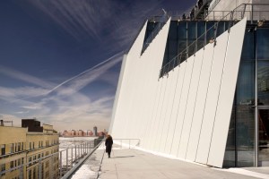 Whitney Museum , Max Mara