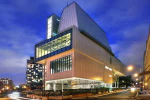 Whitney Museum , Max Mara