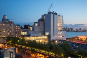 Whitney Museum , Max Mara