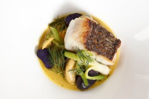 Eye, Virginia's