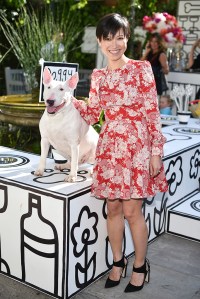 Jimmy Choo Rafael Mantesso Collaboration Olivia Palermo