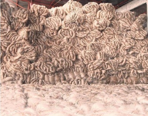 Two More Jute Mills Close India Due Decreased Demand
