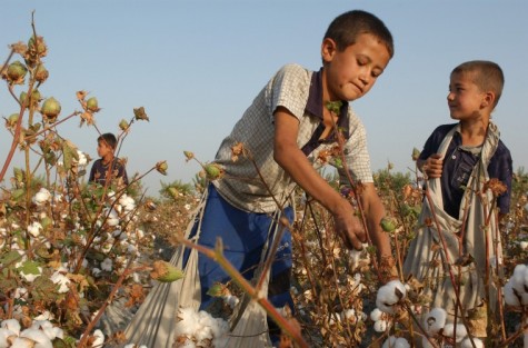ILO: Quality Education is Key Ending Child Labor