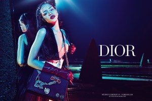 Rihanna featured in Dior ad campaign shot by Steven Klein.