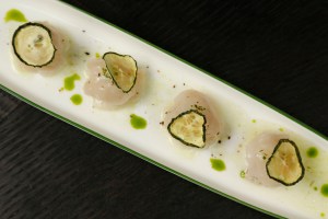 Scallop crudo at Caffe Dante