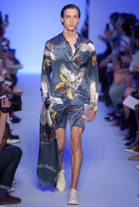 Louis Vuitton Men's RTW Spring 2016