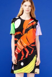 Novis Resort 2016
