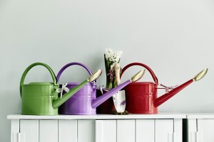 Pop-In@Nordstrom Liberty