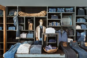 Stag