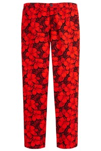 Vilebrequin pants