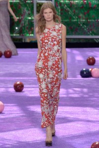 Christian Dior Couture Fall 2015
