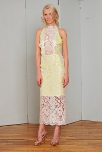 Elizabeth Fillmore Resort 2016