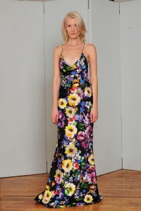Elizabeth Fillmore Resort 2016