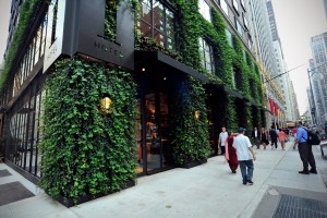 The exterior of Jams.