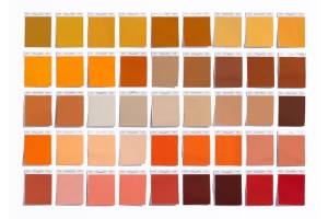 New shades from Pantone's Color System.