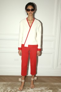 Clear Kai Milla RTW Spring 2016